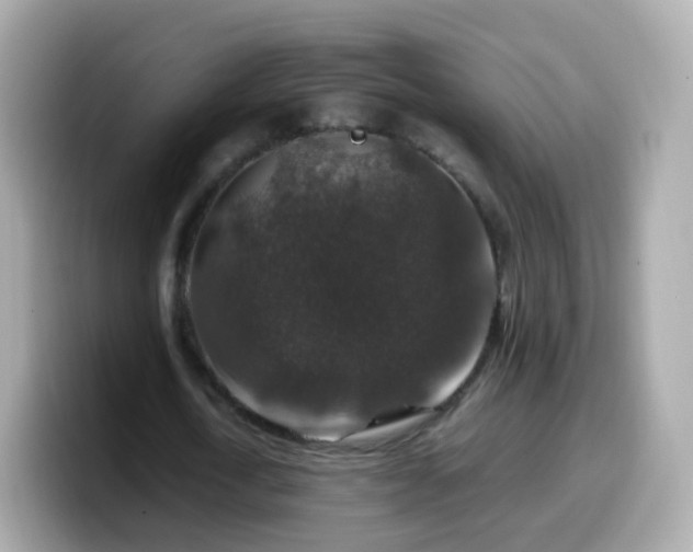 X0000099570722200805231531