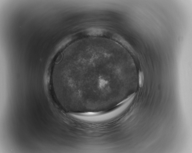 X0000099570723200805231531