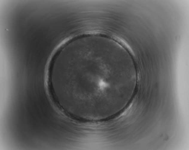 X0000099570724200805231531