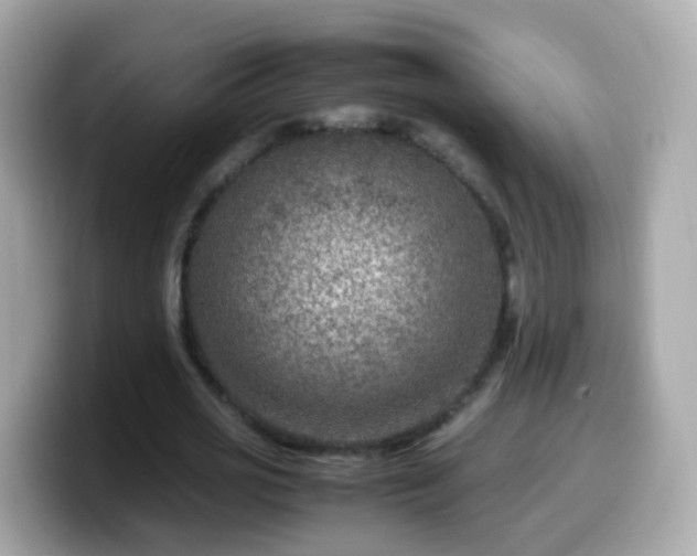 X0000099570725200805231531