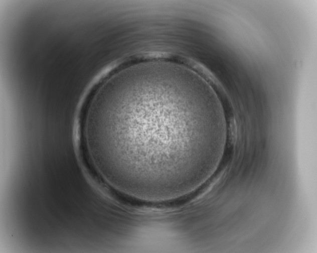 X0000099570726200805231531