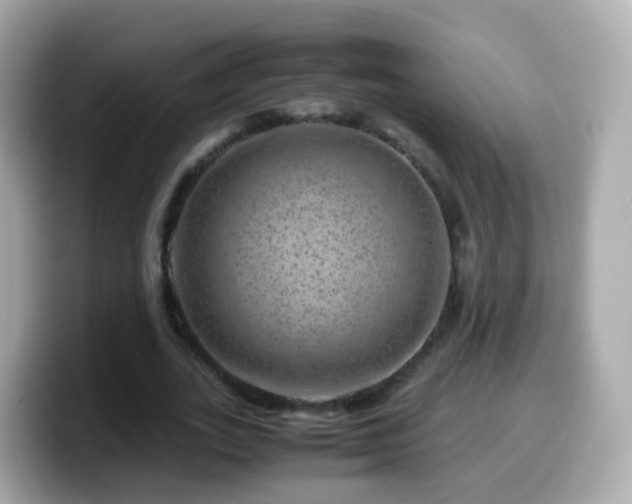 X0000099570727200805231531