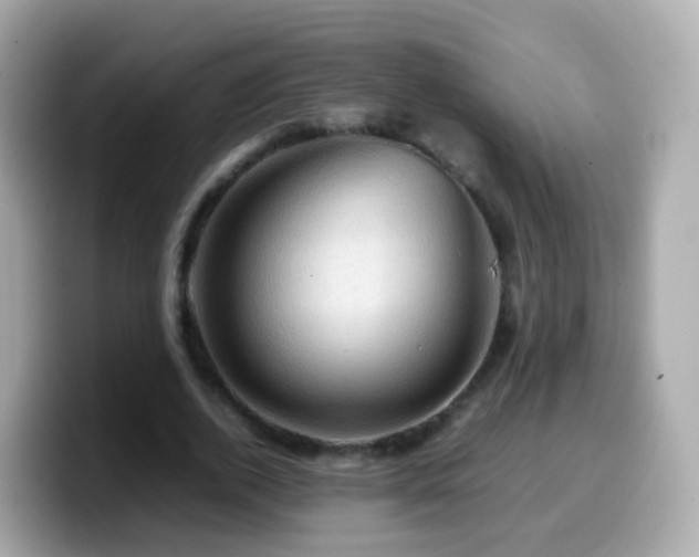 X0000099570728200805231531