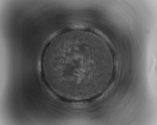 X0000099570729200805231531