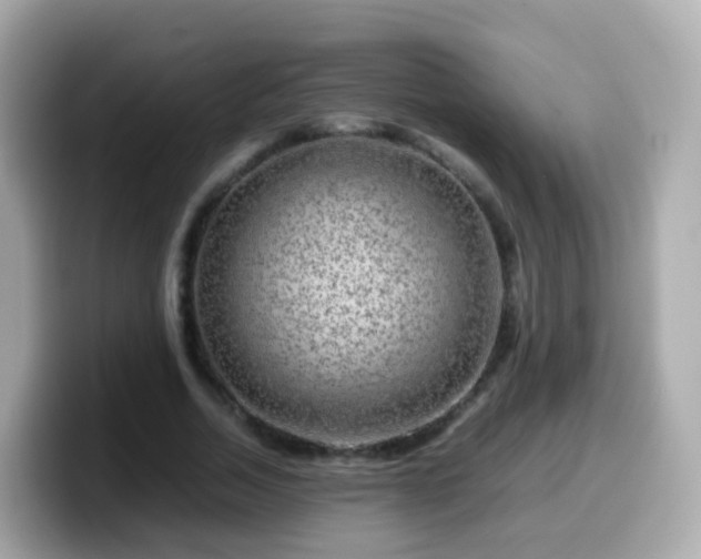 X0000099570730200805231531