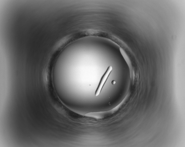 X0000099570732200805231531