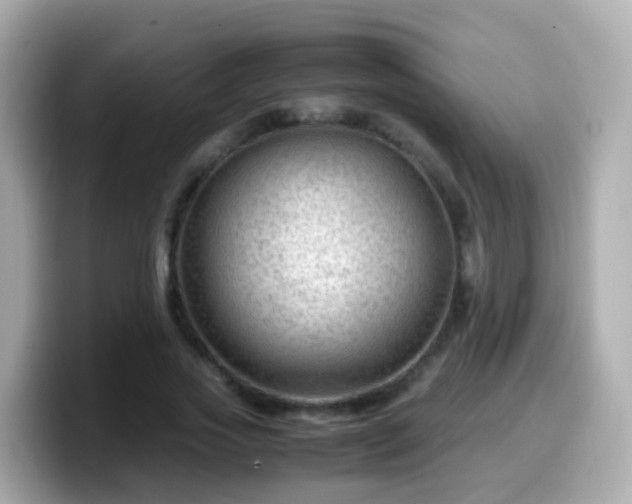 X0000099570733200805231531