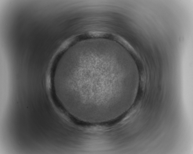 X0000099570734200805231531