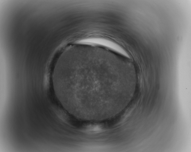 X0000099570735200805231531