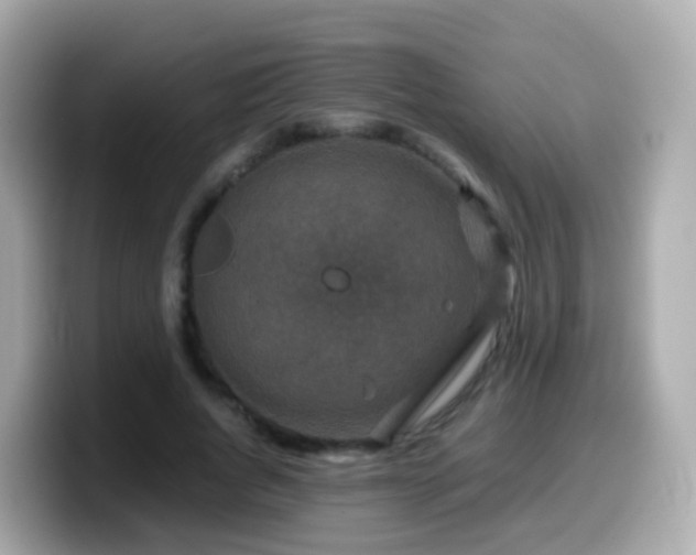 X0000099570736200805231531