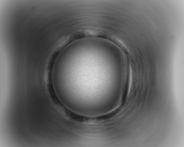 X0000099570738200805231531