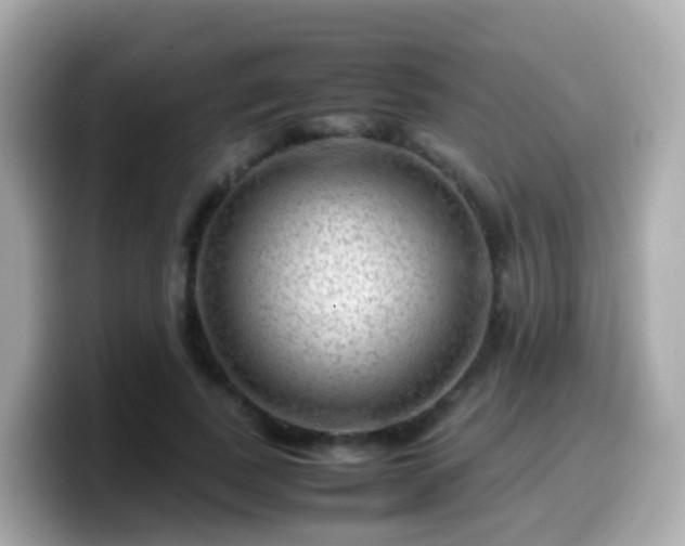 X0000099570739200805231531