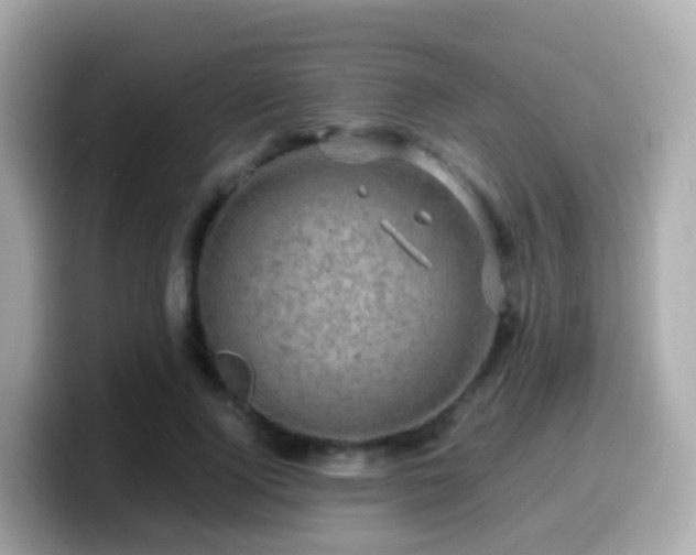 X0000099570740200805231531