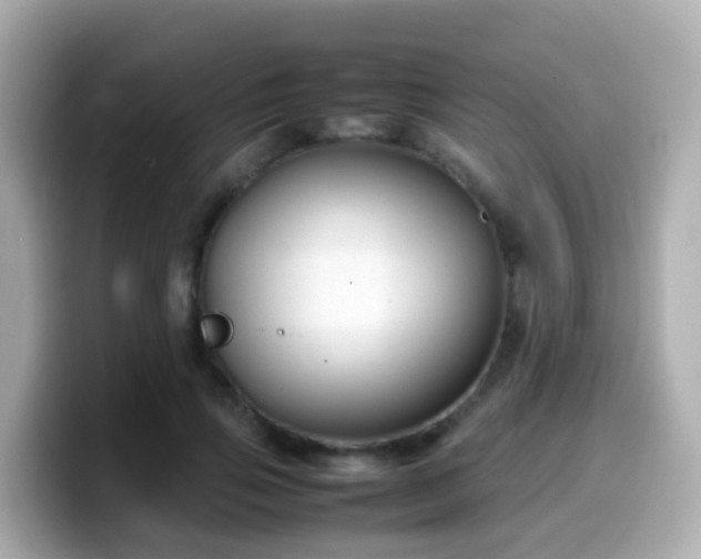 X0000099570741200805231531