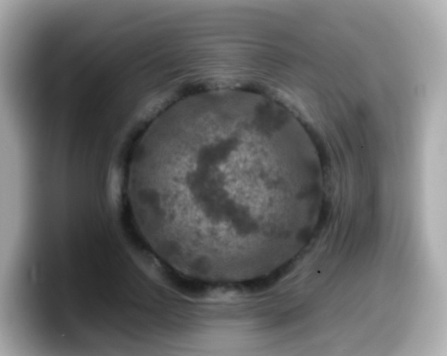 X0000099570742200805231531