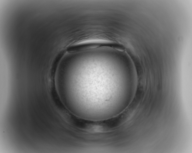 X0000099570743200805231531