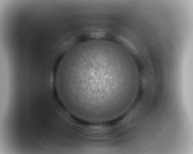 X0000099570745200805231531