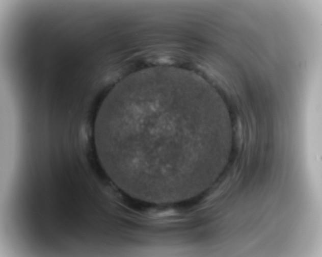 X0000099570747200805231531