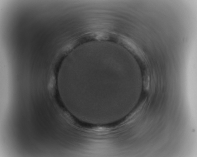 X0000099570748200805231531