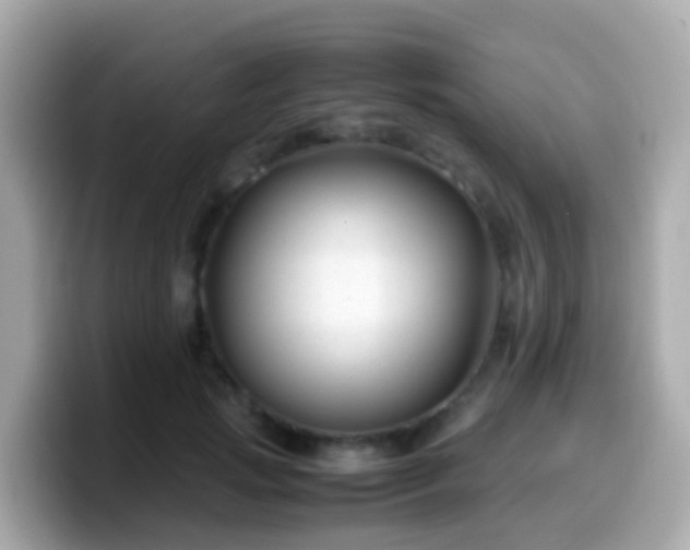 X0000099570749200805231531