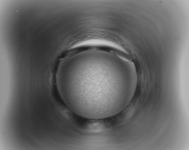 X0000099570750200805231531