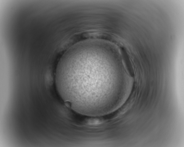 X0000099570751200805231531