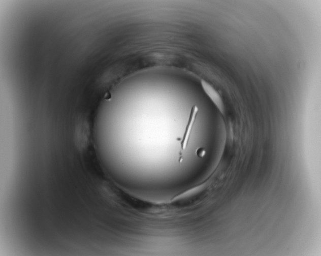 X0000099570752200805231531