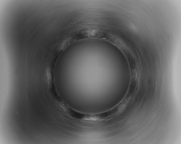 X0000099570754200805231531