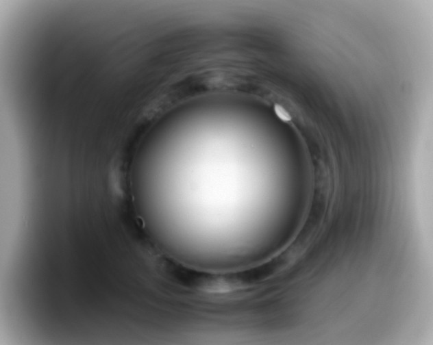 X0000099570755200805231531