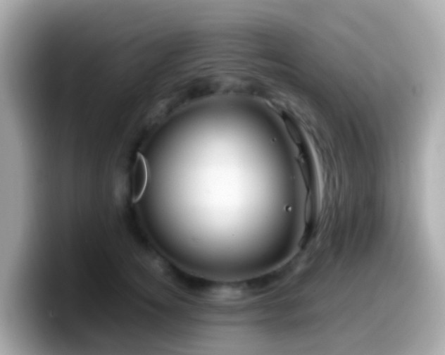 X0000099570756200805231531