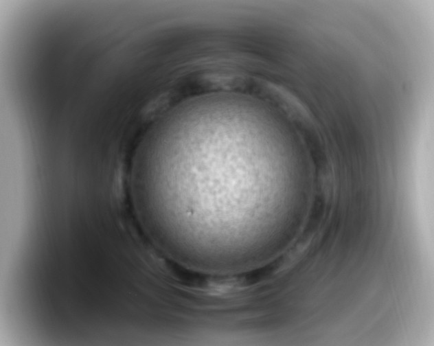 X0000099570757200805231531