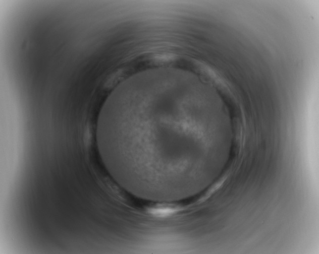 X0000099570758200805231531