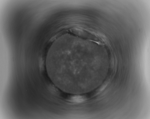 X0000099570759200805231531