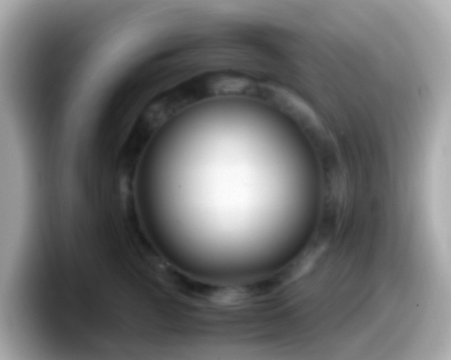 X0000099570761200805231531