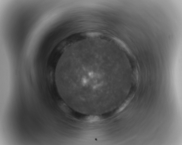 X0000099570762200805231531