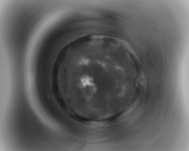 X0000099570763200805231531