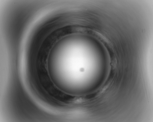 X0000099570764200805231531