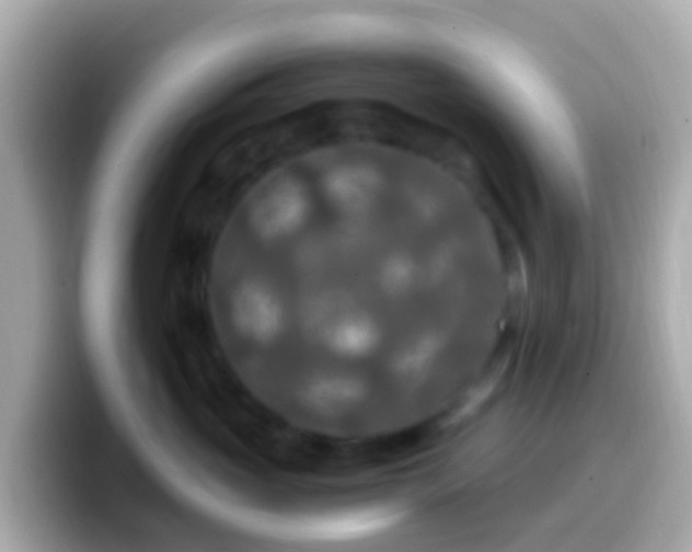 X0000099570765200805231531