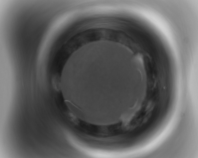 X0000099570766200805231531