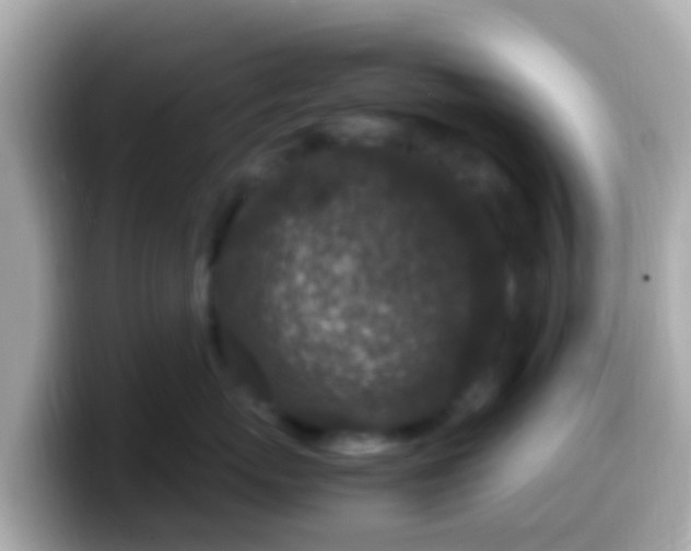 X0000099570767200805231531