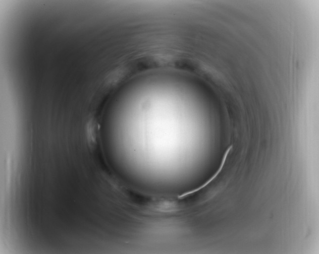 X0000099570768200805231531