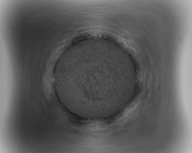 X0000099570769200805231531