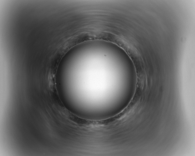 X0000099570770200805231531