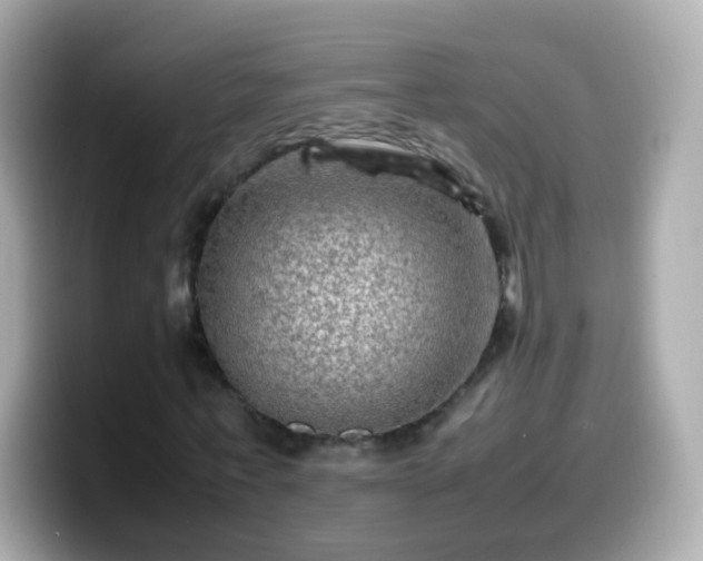 X0000099570771200805231531