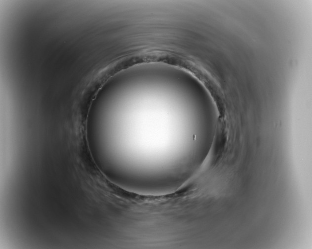 X0000099570773200805231531