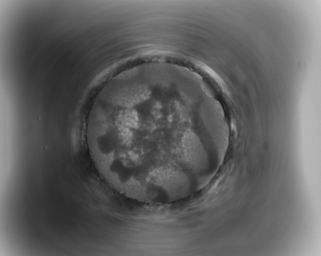 X0000099570775200805231531