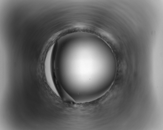 X0000099570776200805231531