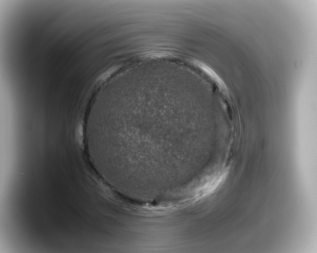 X0000099570777200805231530