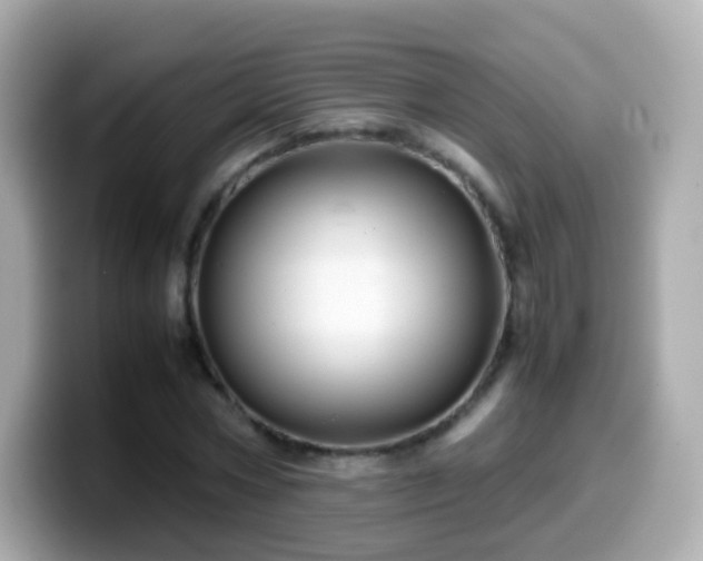 X0000099570778200805231530