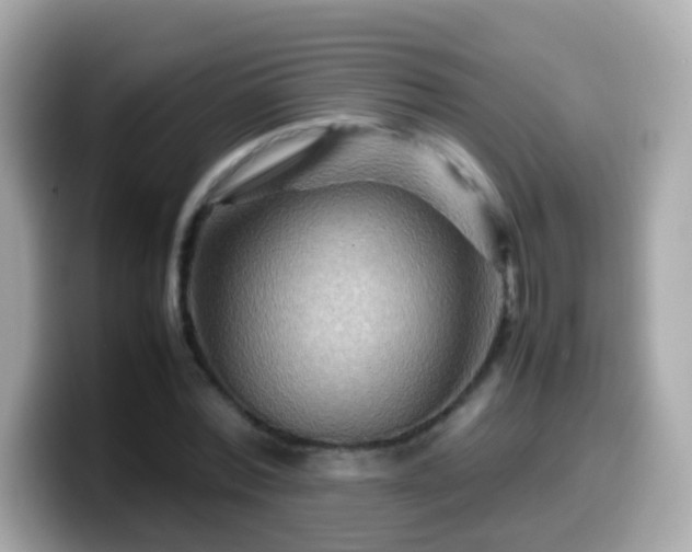 X0000099570780200805231530